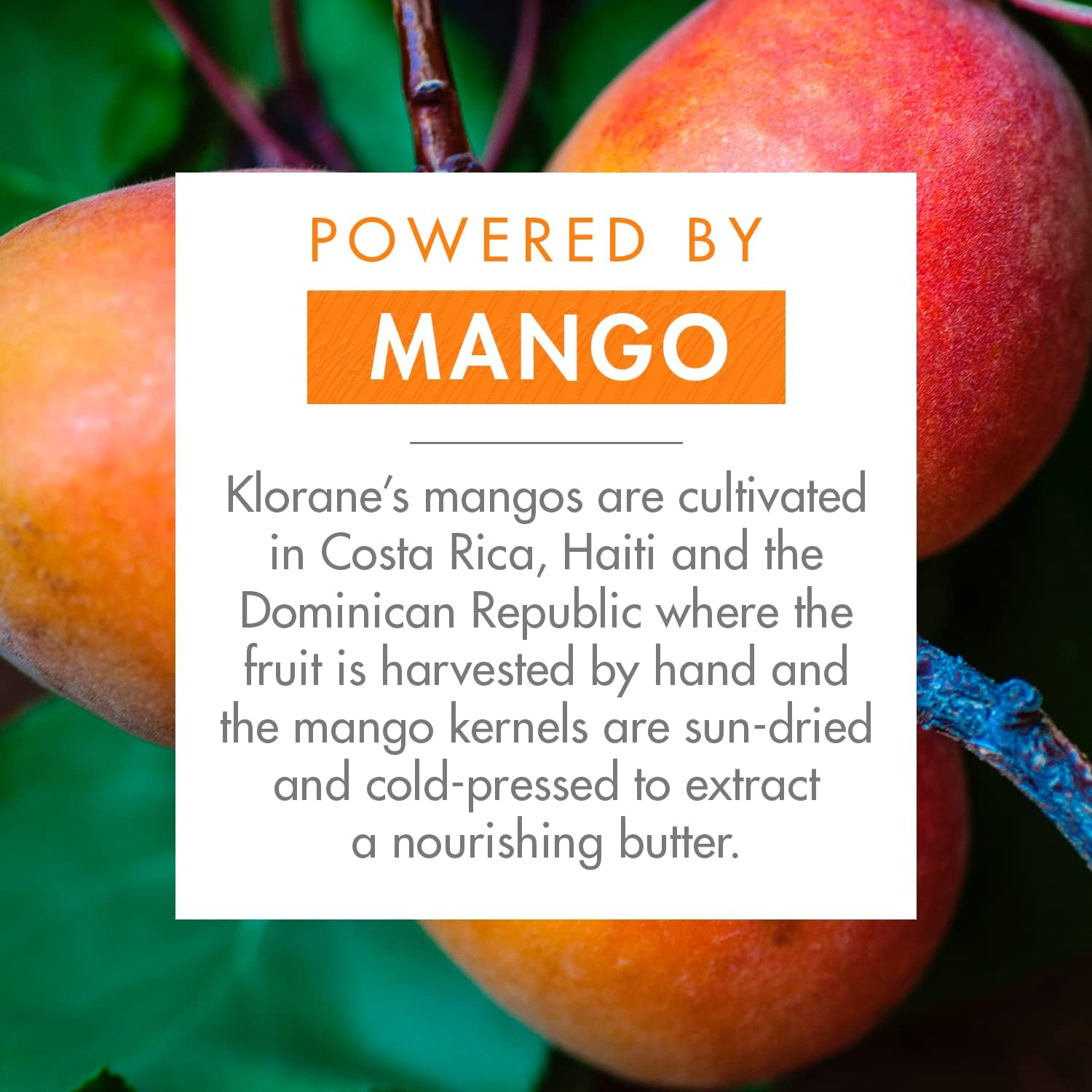 Klor.Aceite De Mango 125 Ml. - Imagen 3