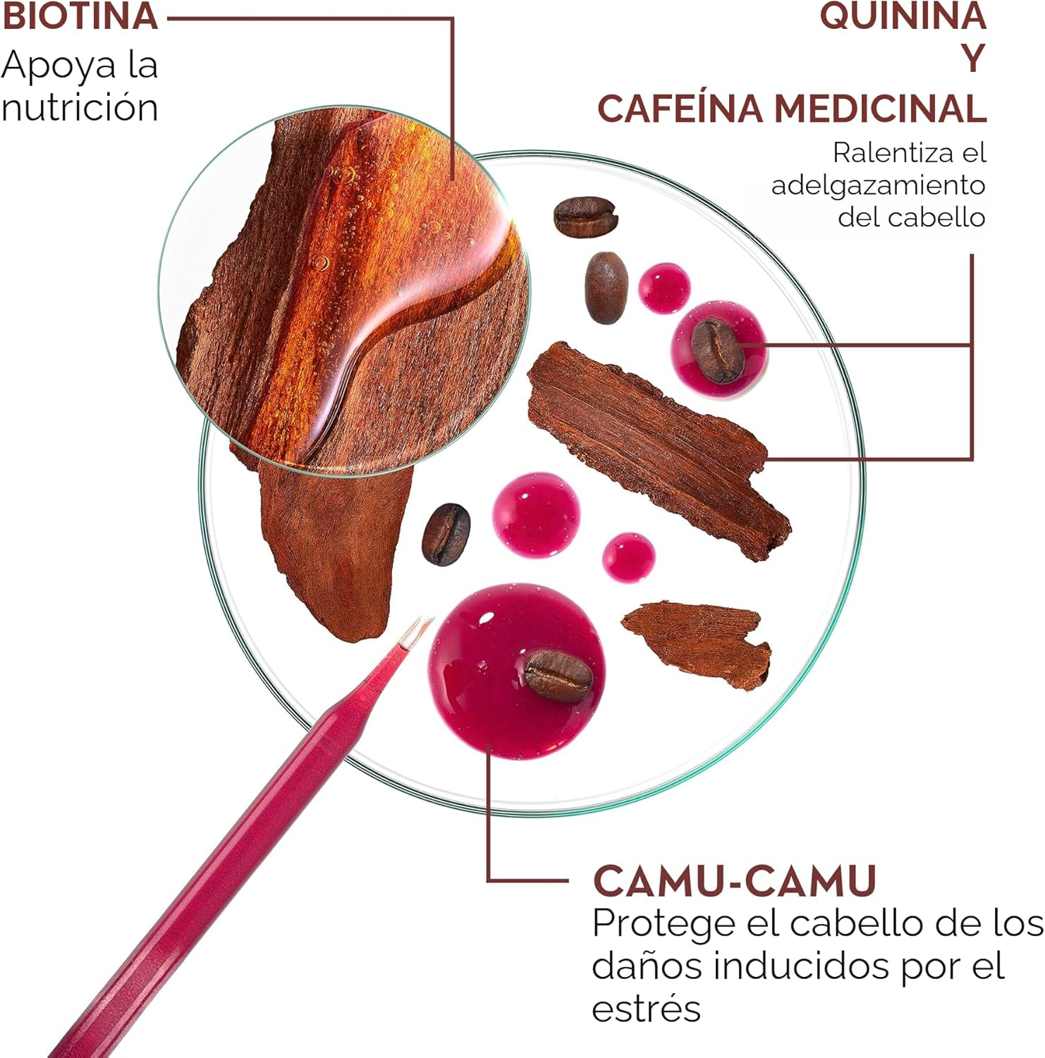 Klorane Suero Anticaída con Quinina y Edelweiss para Pérdida de Cabello 100ML - Imagen 4